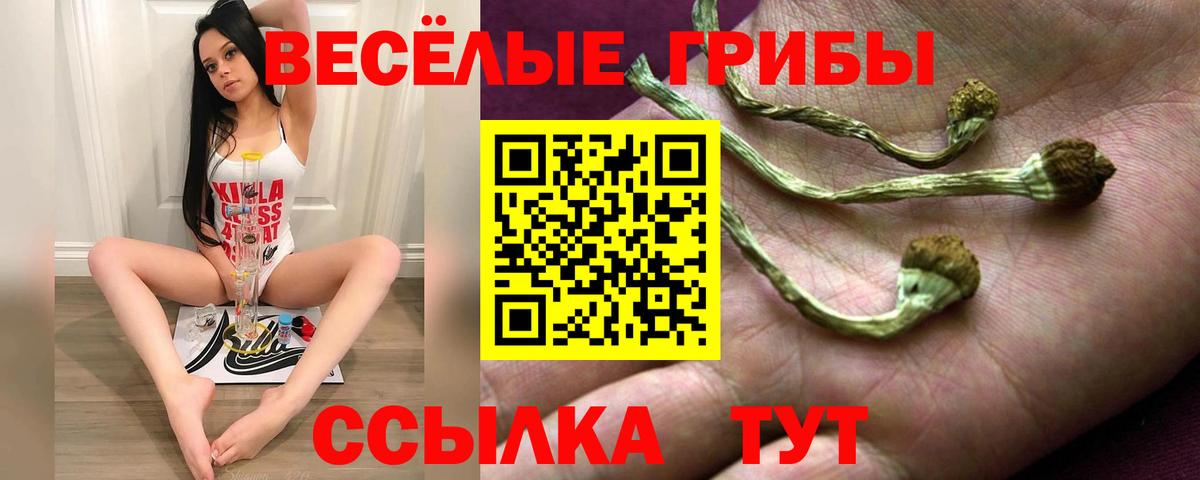 Псилоцибиновые грибы прущие грибы Дзержинск