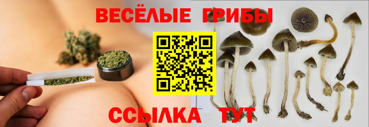 Галлюциногенные грибы прущие грибы  Вход с VPN  Дзержинск 